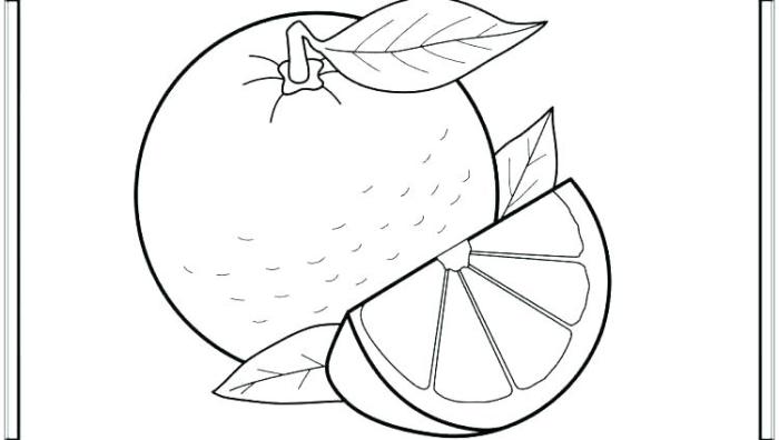 Orange coloring pages