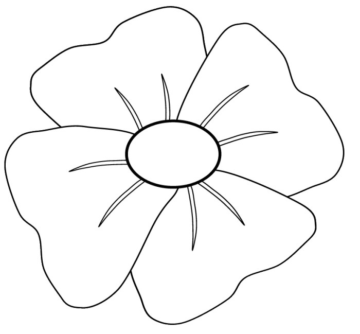 Poppies coloring page