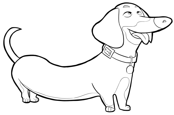 Coloring pages of pets