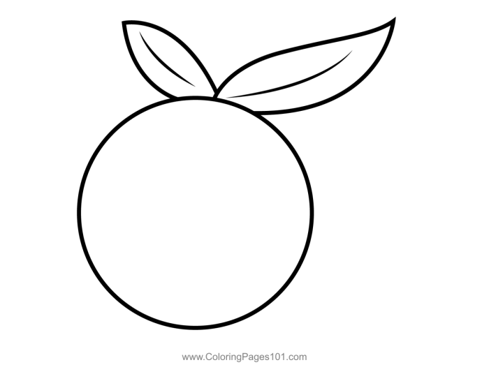 Orange coloring pages