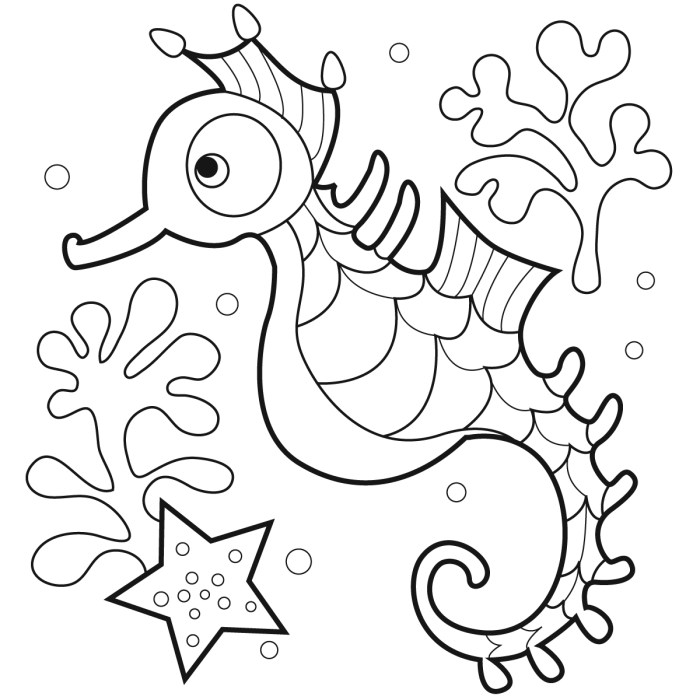 Seahorse coloring pages