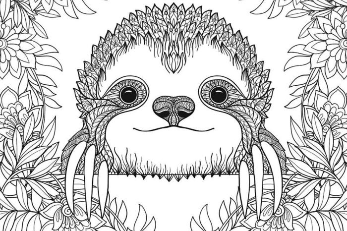 Sloth coloring page