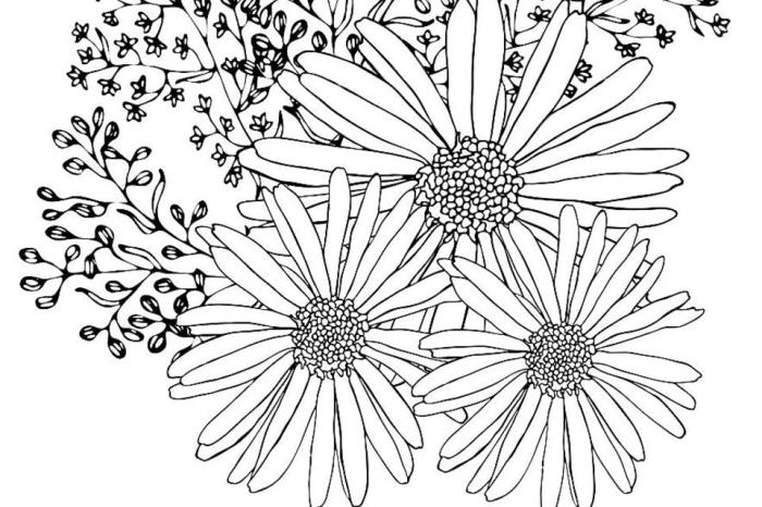 Free printable coloring pages spring