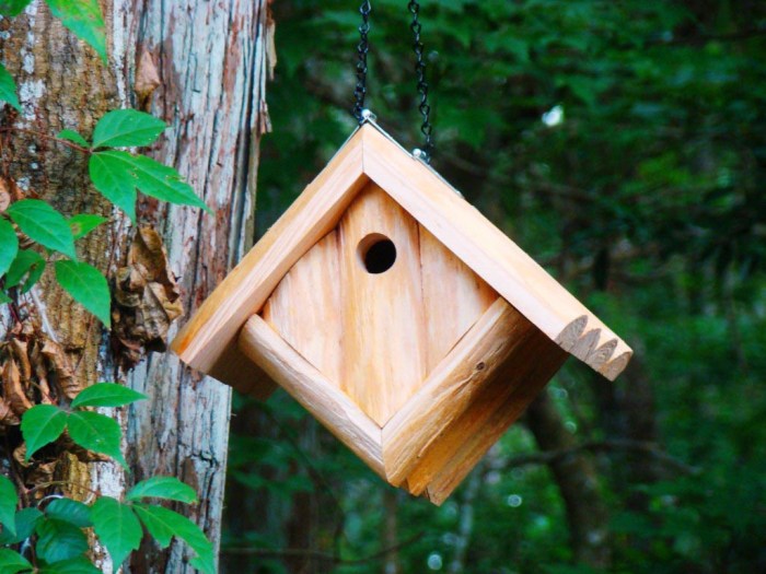 Chickadee birdhouse chickadees woodsmith wrens