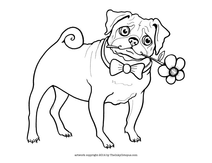 Pug coloring pages cute printable kids