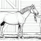 Horses Coloring Page A Creative Exploration