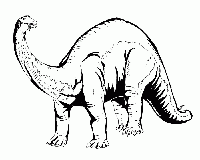 Dinosaur coloring pages for kids