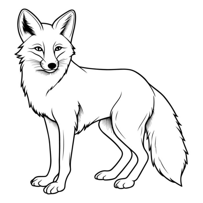 Coloring pages of foxes