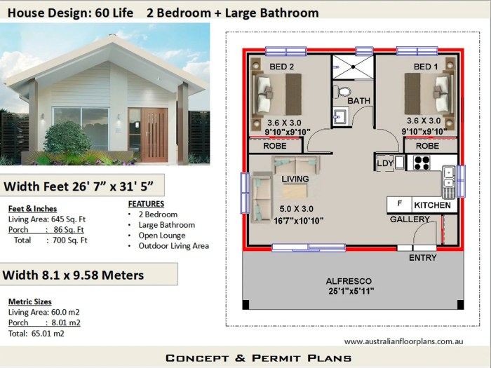 House design for 700 square feet