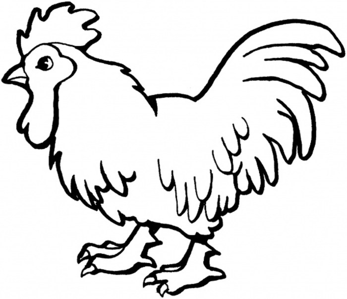 Rooster coloring page