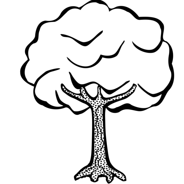 Coloring book tree for kids