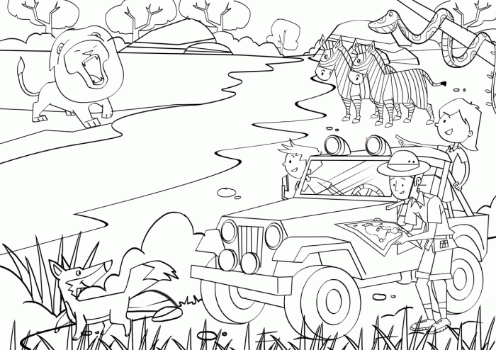 Safari coloring pages