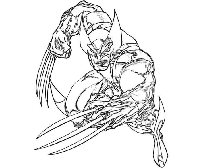 Coloring pages of wolverine