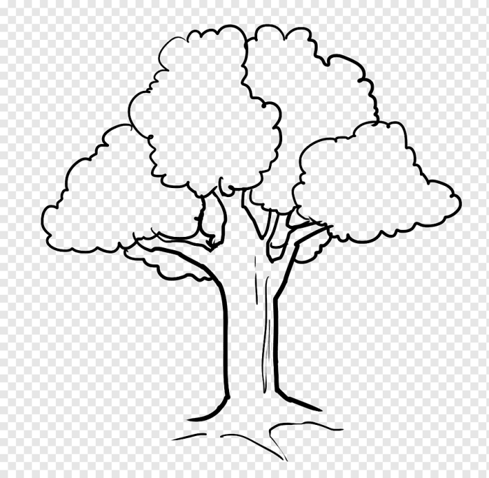 Coloring book tree for kids