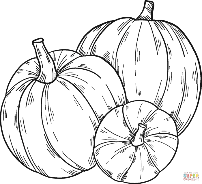 Coloring pumpkin pages pumpkins kids coloringbay