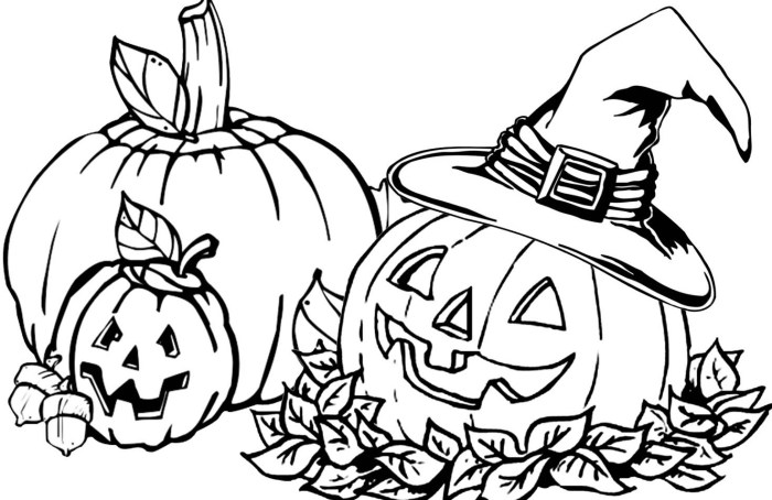 Pumpkin patch coloring page