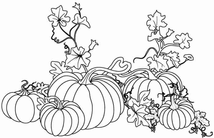 Pumpkin patch coloring page