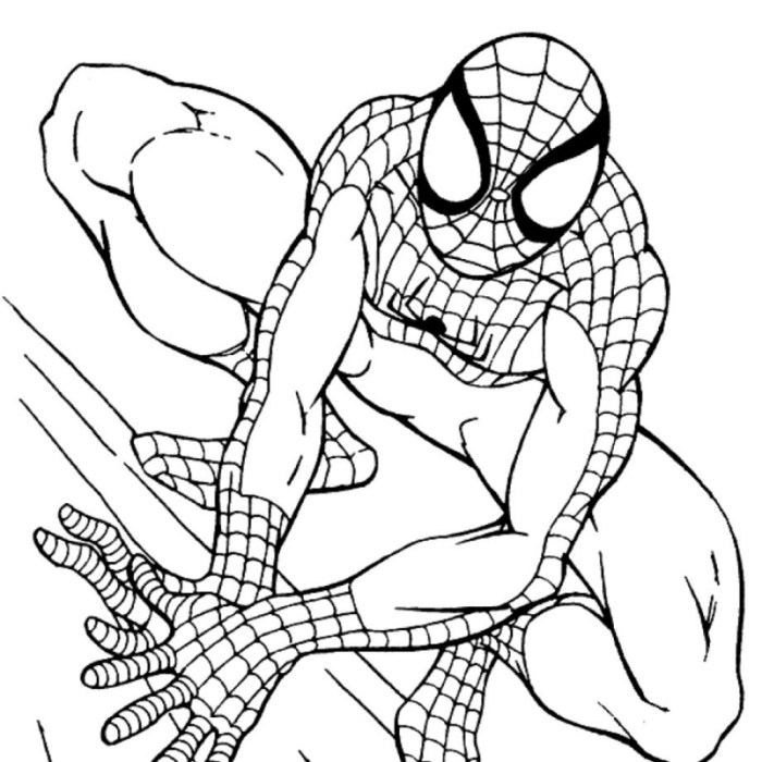 Cute spider man coloring pages