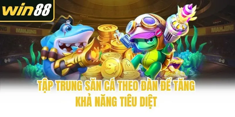 Tập trung săn cá theo đàn để tăng khả năng tiêu diệt 